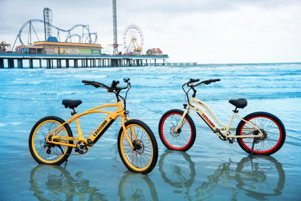 fietsaccu reviseren